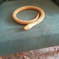مارچوبه انعطاف پذیر