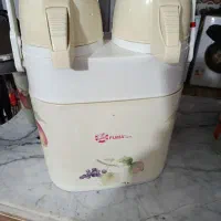 فلاکس دوقلو