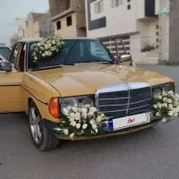 بنز 230 دانشجویی