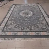 نمایندگی فرش ۱۲متری و۹و۶|فرش|کلاله, |دیوار