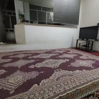 همخونه|اجارهٔ خانه و ویلا|مشهد, رضاییه|دیوار