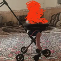 کالسکه رانو