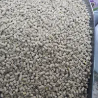 نمایندگی فروش دان پارس مرغ و بوقلمون گوشتی|لوازم جانبی حیوانات|سنندج, |دیوار