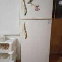 تلویزیون TCL و یخچال دو در سالم