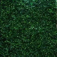 گرین وال و چمن مصنوعی