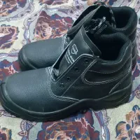 کفش کارمعاوضه باپرنده|کیف، کفش، کمربند|زاویه, |دیوار