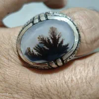 چندعددشجرزیبابارکابهای‌دست‌فابریک