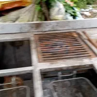 گاز فست فود