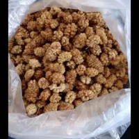 توت خشک