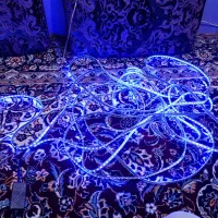 ال ای دی شلنگی کنترلی|ریسه و چراغ تزئینی|قم, چهل درخت‎|دیوار