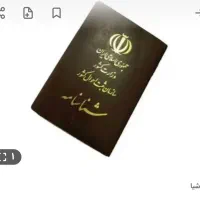 شناسنامه گم شده