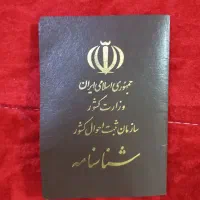 شناسنامه گم شده