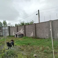 خانه ویلایی روستایی نزدیک باغ پرندگان|فروش خانه و ویلا|رشت, حومه رشت|دیوار