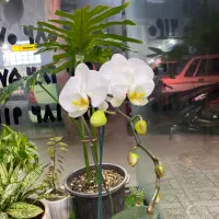 مغازه-17متری-دانشگاه-استاندارد