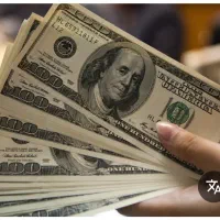 همکاری پاره‌وقت در یک پروژه نوآور و دانش بنیان