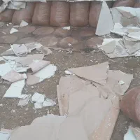 تفاله سیب ۲تن