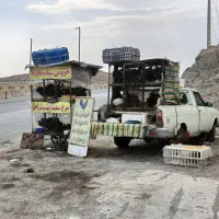 خروس سیاه دفع بلا مرغ سفید جهت قربونی