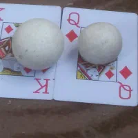 سنگ آسیاب|کلکسیون اشیاء عتیقه|فردوس (خراسان), |دیوار