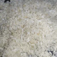 فروش تک و عمده برنج کامفیروزی اعلا با تخفیف