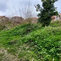 زمین-مسکونی-واقع-در-روستای-قلعه-کش-600-متر-مربع