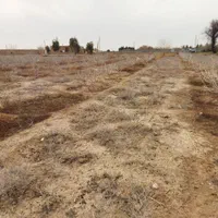 9300 متر زمین ( مجوز گلخانه)