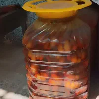 ترشی سیر ۴ساله|خوردنی و آشامیدنی|شیراز, رکن‌آباد|دیوار