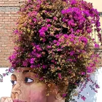 آموزش نقاشی ایرانی، طراحی ،رنگ روغن و خوشنویسی