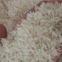 برنج طارم هاشمی درجه 1