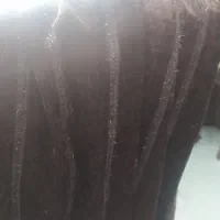 ۲ عدد والان پرده قهوه ای بدون پارگی و رنگ رفتگی|پرده، رانر، رومیزی|اسدآباد, |دیوار