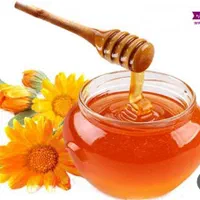 اپیلاسیون  تخصصی ۱×۲ همدان