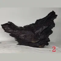 دریفت وود|ماهی|تهران, منیریه|دیوار