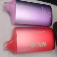 دو عدد پاد شارژی