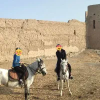 آموزش سوارکاری، گشت و طبیعت گردی با اسب|اسب و تجهیزات اسب‌سواری|مشهد, شهرک صنعتی توس|دیوار