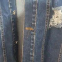 کت لی|لباس|زنجان, |دیوار