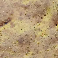 پخت نان باب دندون نرم وخوشمزه