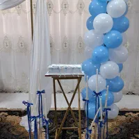 تم تولد و اجاره لوازم، رنگینـکده