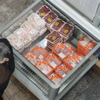 یخچال پرده هوا خوابیده یک دریک