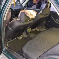 آردی آی تک سوز مدل ۸۵ فوقالعاده سالم|خودرو سواری و وانت|اسدآباد, |دیوار