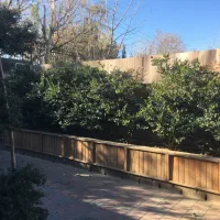 سرایدار باغ چهارباغ کرج