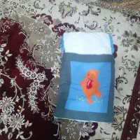 کالسکه|کالسکه و لوازم جانبی|نسیم‌شهر, |دیوار