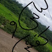 کتوتی و پوشاکو لباس زنانه