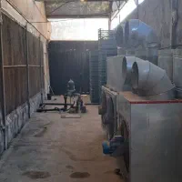 یک قطعه زمین و گلخانه ۱۳۰۰ متری طرح اسپانیایی|فروش دفتر صنعتی، کشاورزی، تجاری|پاکدشت, پاکدشت (مامازند)|دیوار