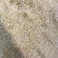 برنج چمپا نوراباد به شرط پخت ۱۵۰