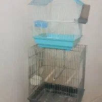 قفس پرنده