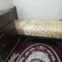 تخت و دلاور|تخت و سرویس خواب|محمدشهر, محمدشهر|دیوار