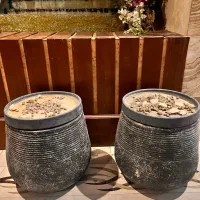 دو عدد گلدان به همراه سینی|گل و گیاه طبیعی|تهران, الهیه|دیوار