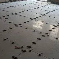 کاشی کاری و سرامیک کار حرفه ای