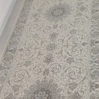 فرش کناره ۱۲۰۰ شانه گل برجسته نونو|فرش|همدان, |دیوار