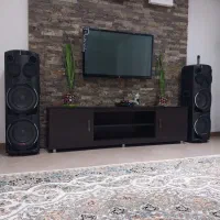اسپیکر جفت میکرولب