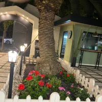 هرس و علف تراشی کلتیواتور|خدمات باغبانی و درختکاری|ساری, |دیوار